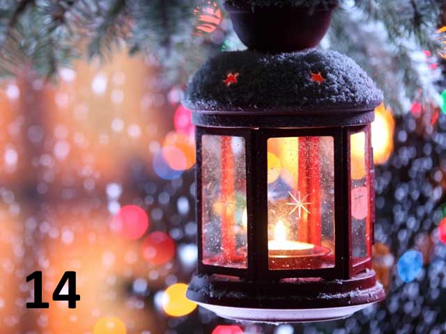 day 14
