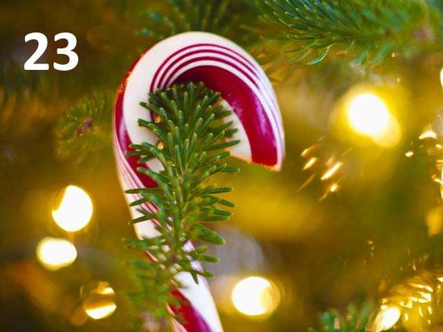 day 23